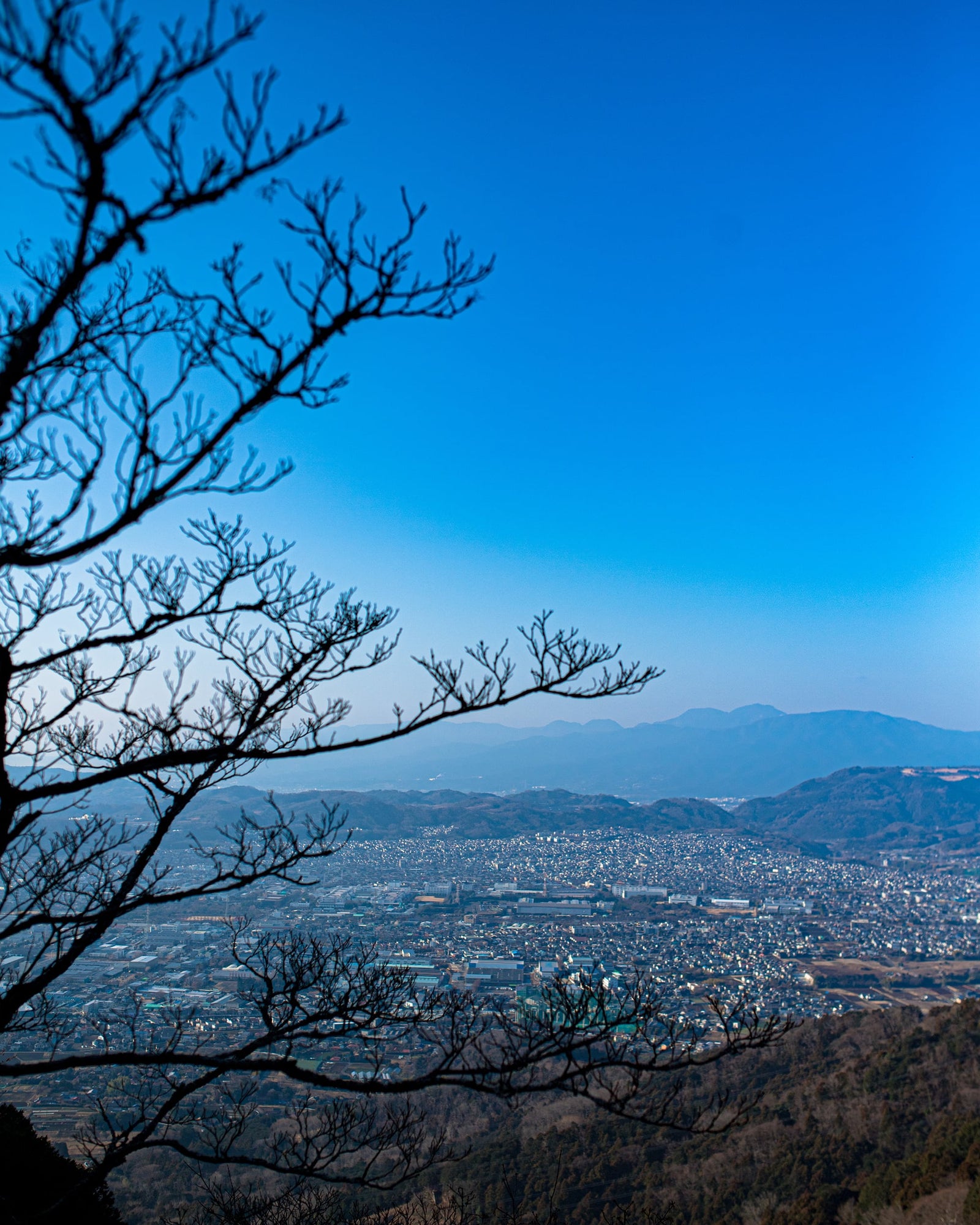 Running Through Hidden Japan